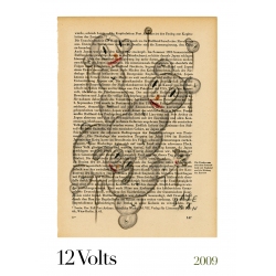 12 Volts