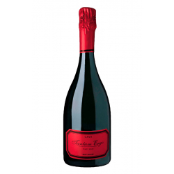 Tantum Ergo Pinot Noir