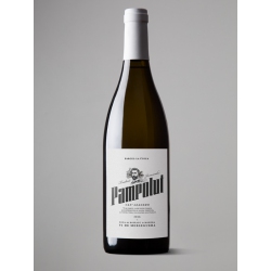 Pampolut